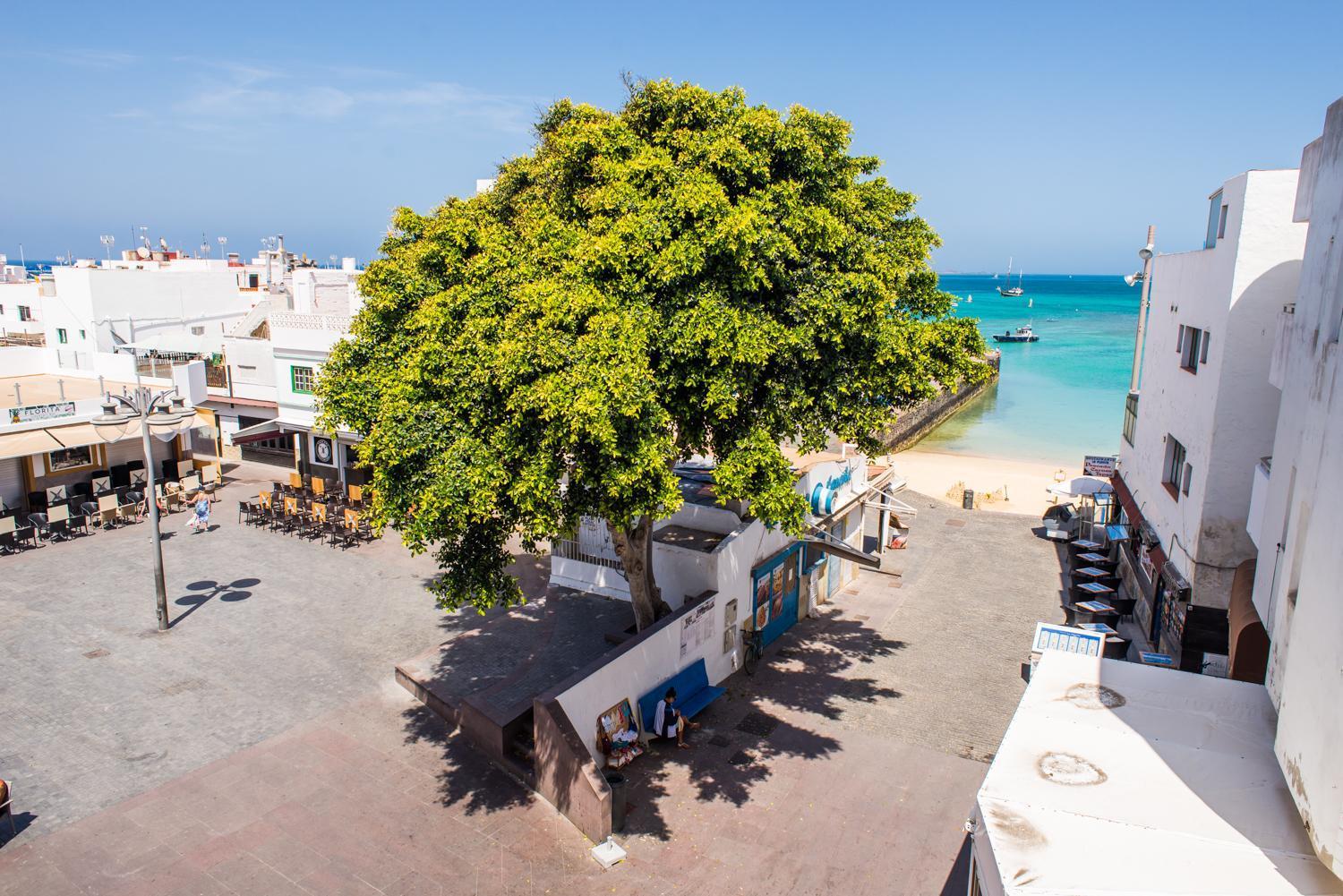 Casa Matilde Corralejo